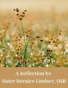 A Reflection by Sr. Bernice Lindsey, OSB