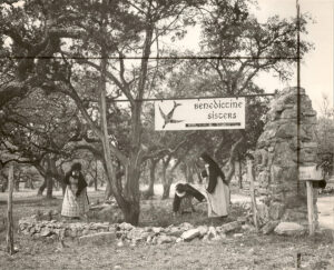 Sisters clearing land early 1960s