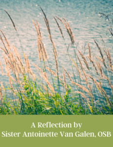 Image for Sister Antoinette's Reflection - Sept 2022