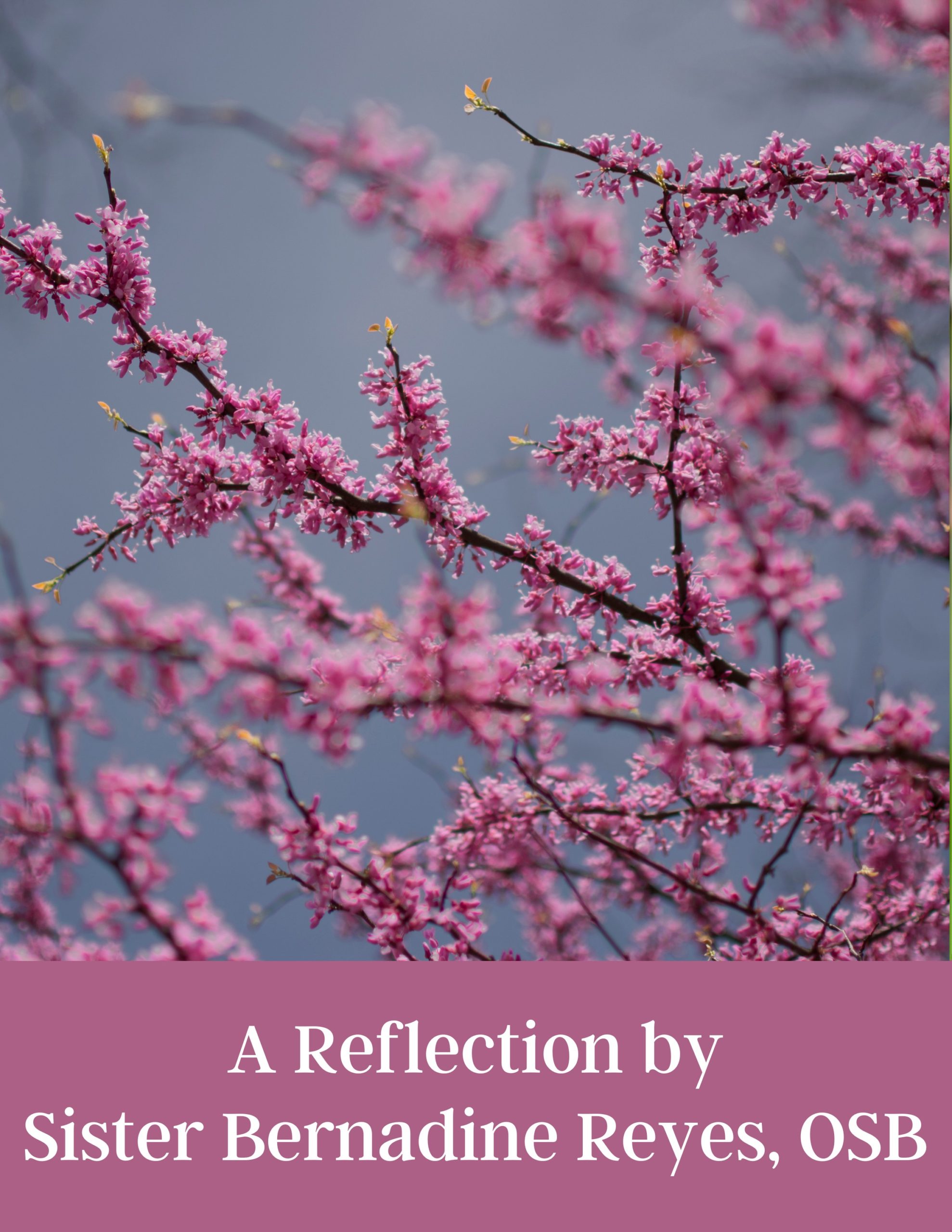 Sr. Bernadine March 2023 Reflection Graphic